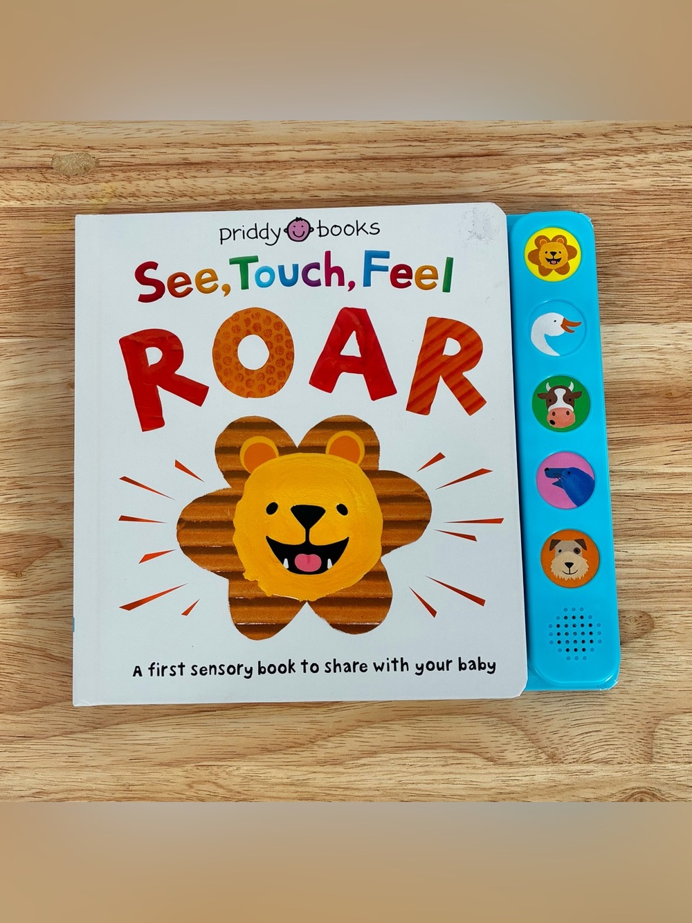 Priddy Books ‘See, Touch, Feel ROAR’ Kids Sensory Toy Book